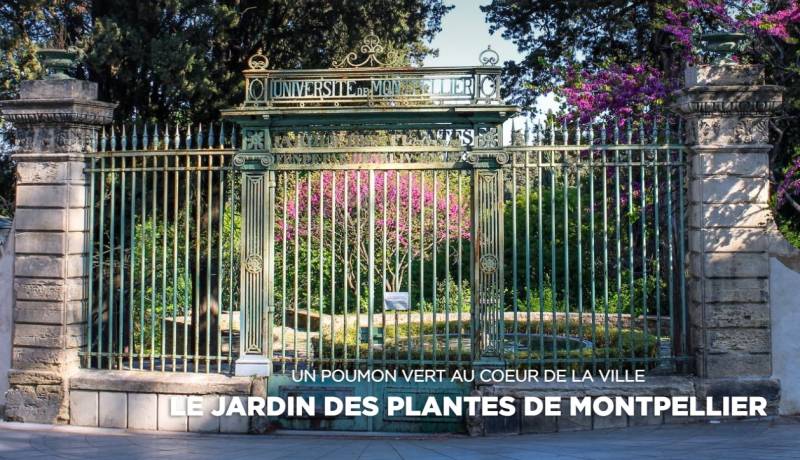 Jardin des plantes de Montpellier
